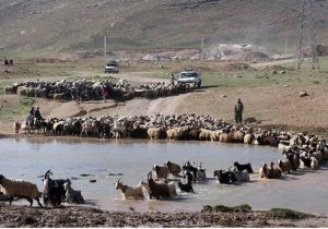 زمان کوچ عشایر به مناطق ییلاقی در کهگیلویه وبویراحمد