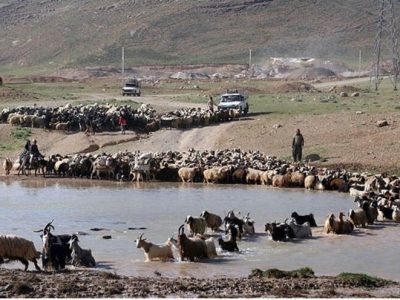 زمان کوچ عشایر به مناطق ییلاقی در کهگیلویه وبویراحمد