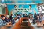 ریشه‌کنی تب مالت یک عزم ملی می‌خواهد