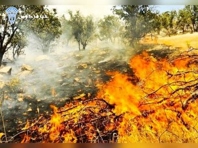هشدار متولی ارشد کشاورزی استان نسبت به وقوع آتش‌سوزی در جنگل‌ها و مراتع