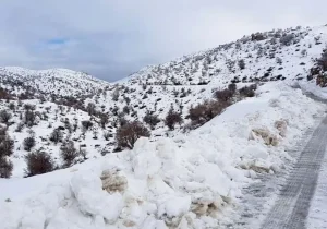 برف ارتفاعات شهرستان بهمئی را سفید پوش کرد